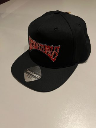 Logo Snapback